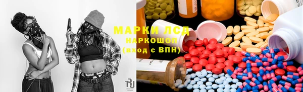 крисы Алзамай