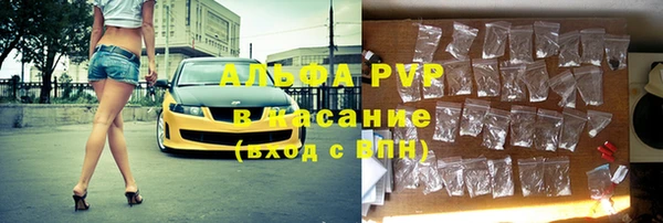 крисы Алзамай
