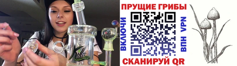 площадка формула МЕГА ТОР Копейск Галлюциногенные грибы прущие грибы